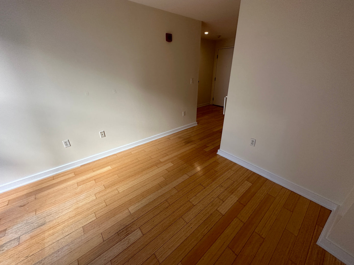 $3,250 / 1br - 430ft2 - ➽Quaint Downtown 1 Bedroom Available September! Pet-Friendly! (Theatre District)