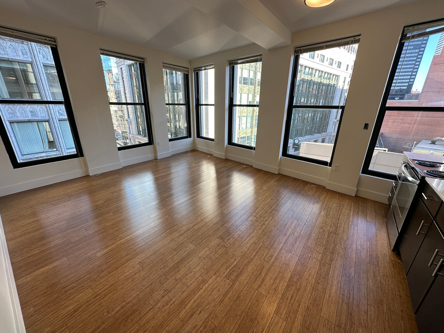 RENTED/OFF MARKET $3,100 / 1br - 659ft2 - ➽Chic Midtown Boston 1 Bedroom Available January! Pet-Friendly! (Midtown)