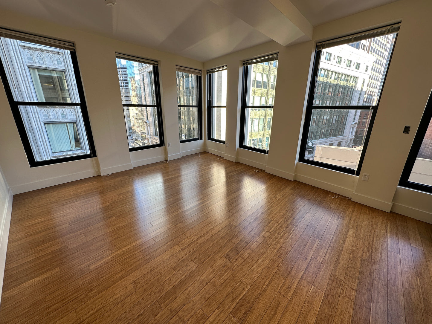 RENTED/OFF MARKET $3,100 / 1br - 659ft2 - ➽Chic Midtown Boston 1 Bedroom Available January! Pet-Friendly! (Midtown)