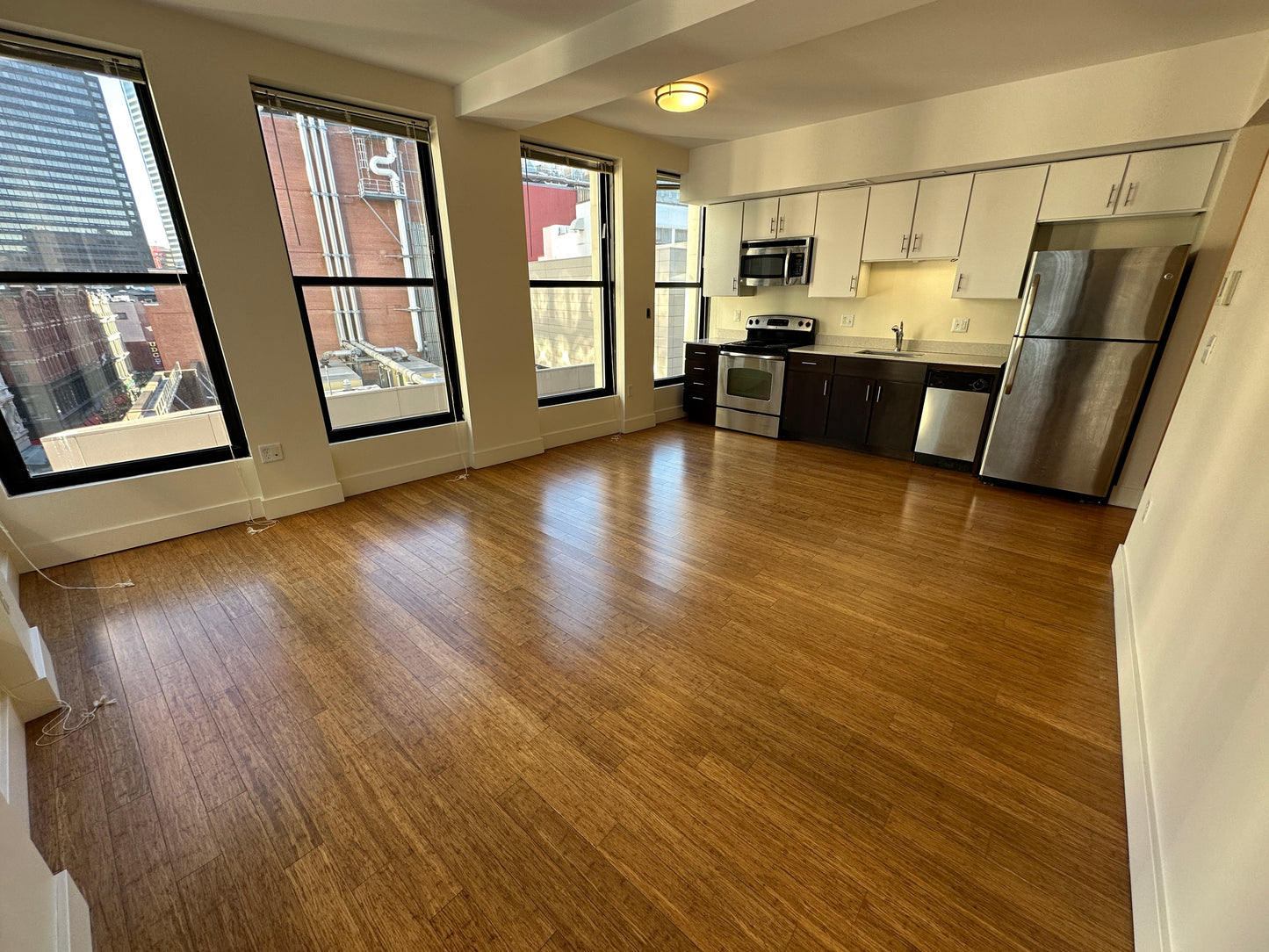 RENTED/OFF MARKET $3,100 / 1br - 659ft2 - ➽Chic Midtown Boston 1 Bedroom Available January! Pet-Friendly! (Midtown)