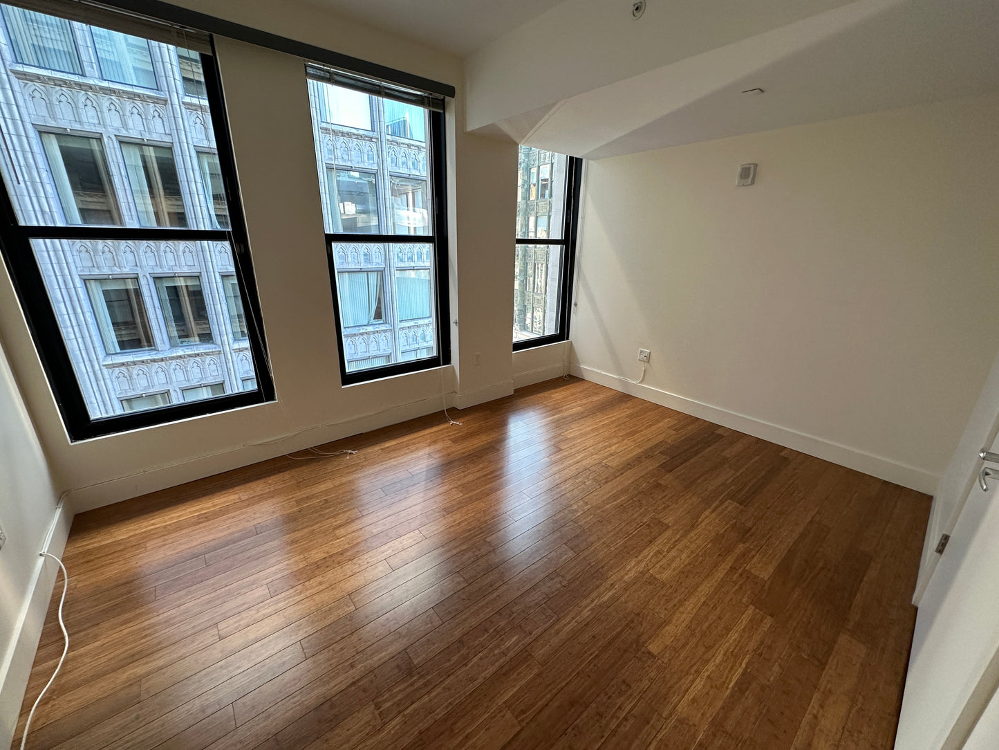 RENTED/OFF MARKET $3,100 / 1br - 659ft2 - ➽Chic Midtown Boston 1 Bedroom Available January! Pet-Friendly! (Midtown)