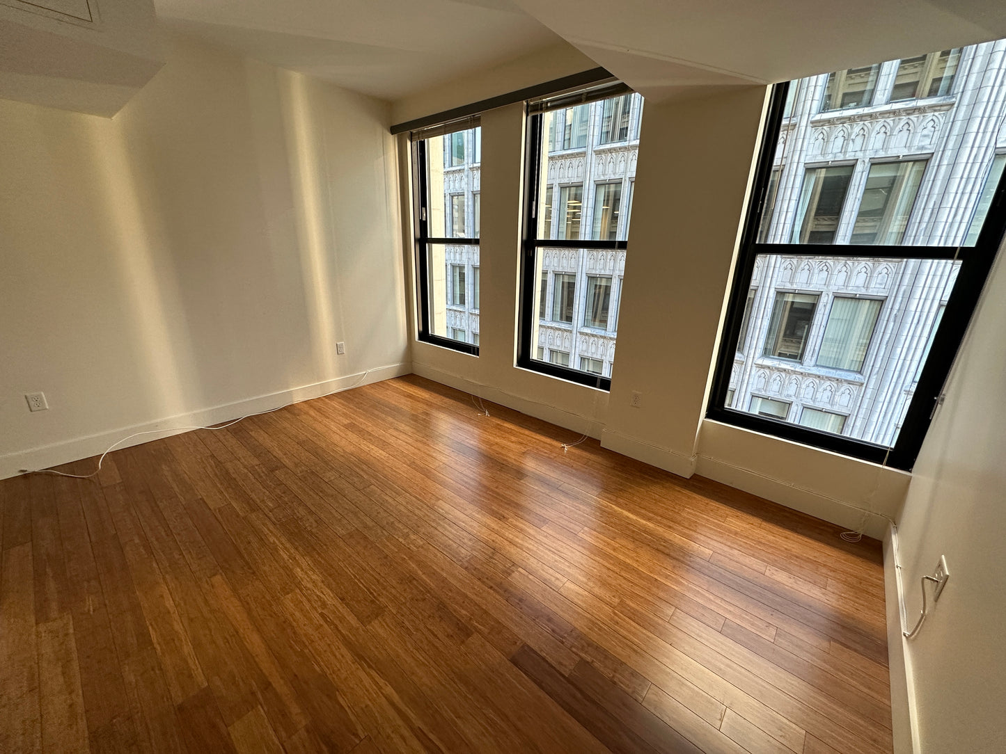 RENTED/OFF MARKET $3,100 / 1br - 659ft2 - ➽Chic Midtown Boston 1 Bedroom Available January! Pet-Friendly! (Midtown)