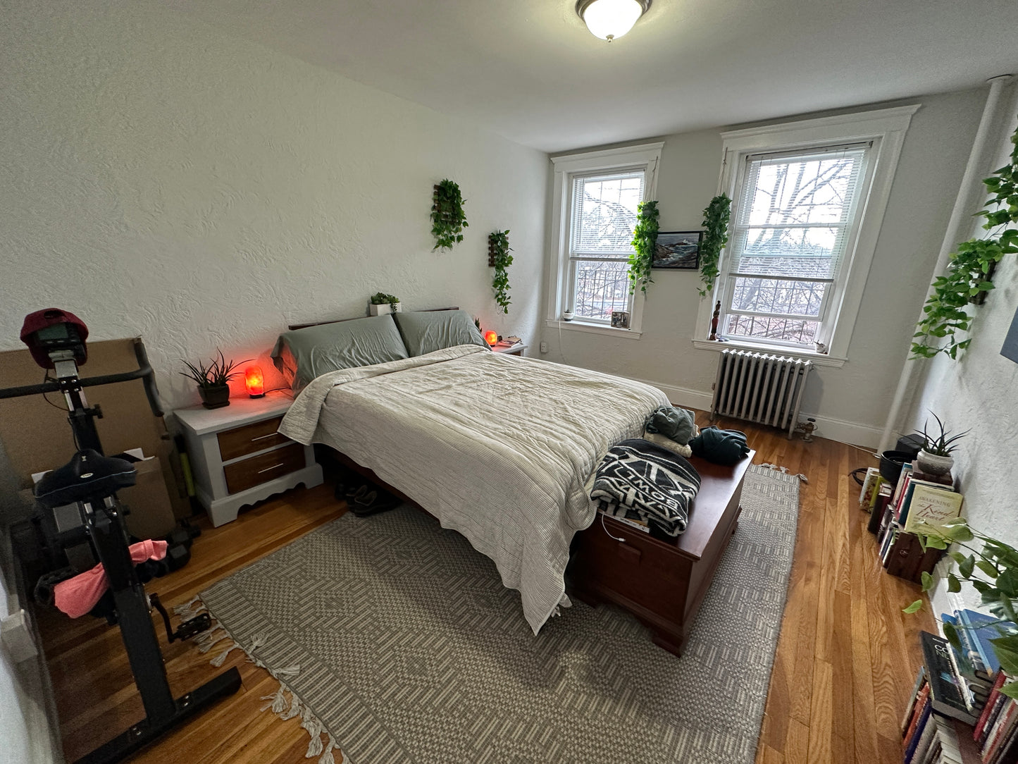 $2,500 / 1br - 490ft2 - ➽Airy Brighton 1 Bedroom w/HT & HW Included Available February! (Brighton)