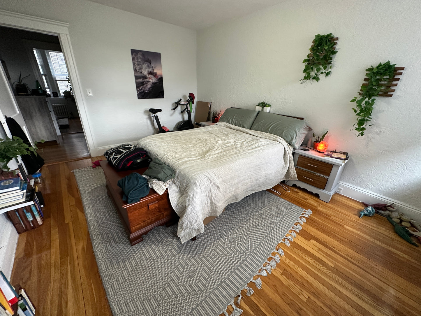 $2,500 / 1br - 490ft2 - ➽Airy Brighton 1 Bedroom w/HT & HW Included Available February! (Brighton)