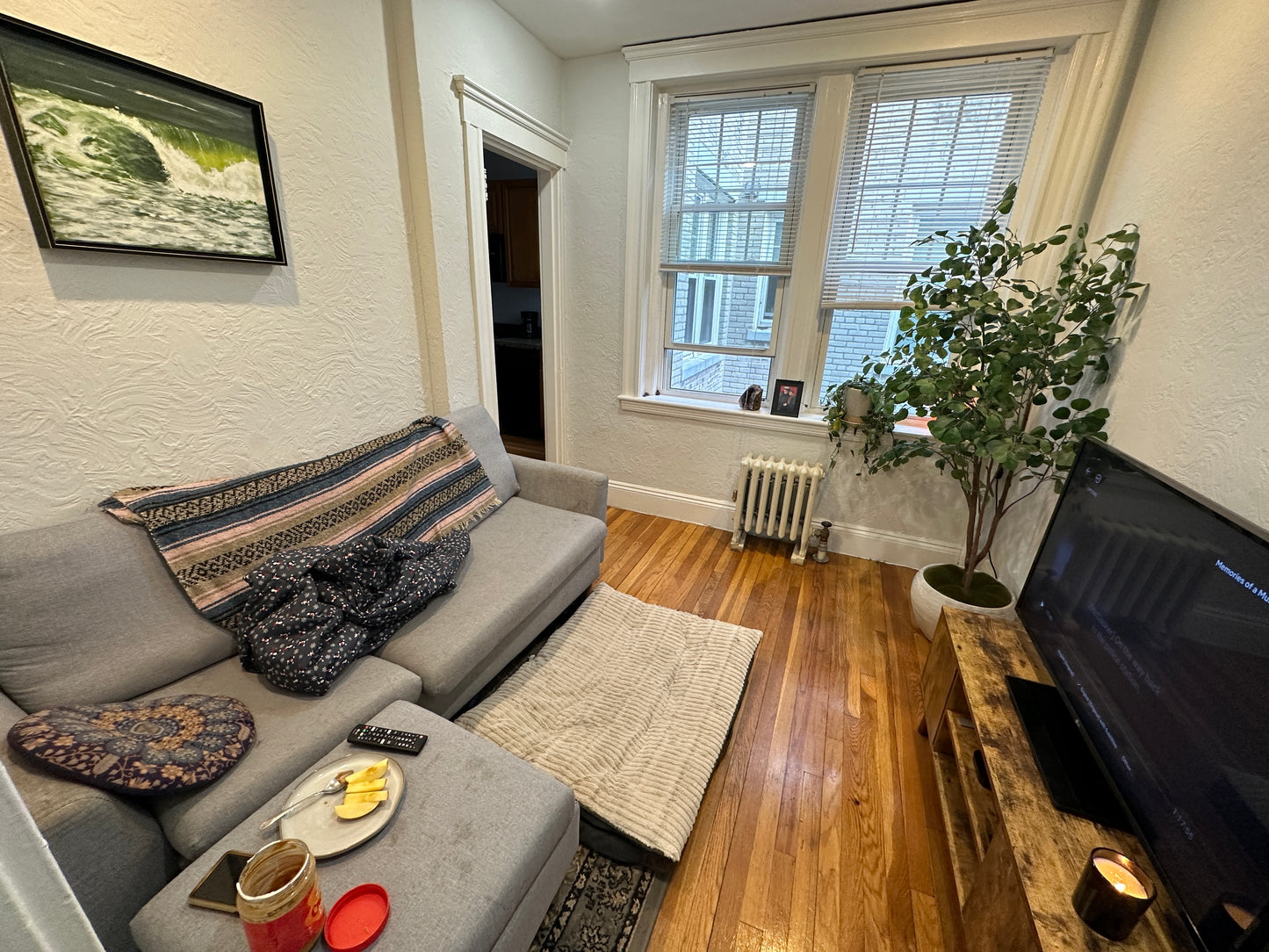 $2,500 / 1br - 490ft2 - ➽Airy Brighton 1 Bedroom w/HT & HW Included Available February! (Brighton)