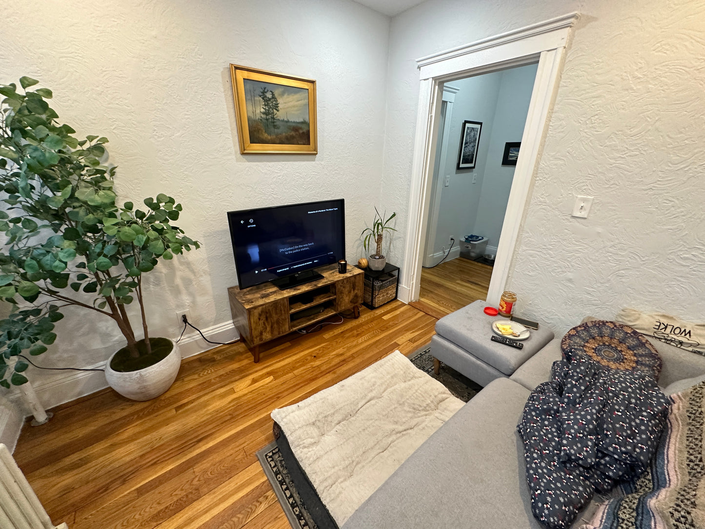 $2,500 / 1br - 490ft2 - ➽Airy Brighton 1 Bedroom w/HT & HW Included Available February! (Brighton)