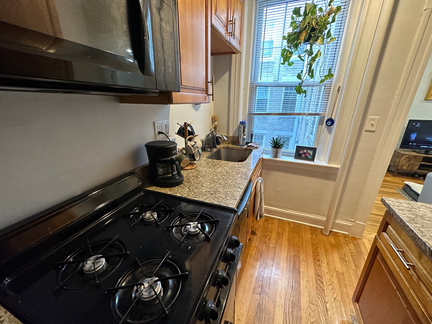 $2,500 / 1br - 490ft2 - ➽Airy Brighton 1 Bedroom w/HT & HW Included Available February! (Brighton)