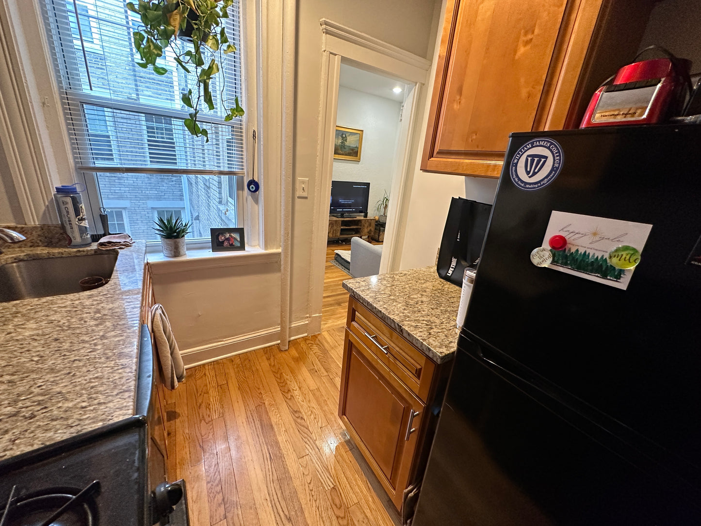 $2,500 / 1br - 490ft2 - ➽Airy Brighton 1 Bedroom w/HT & HW Included Available February! (Brighton)