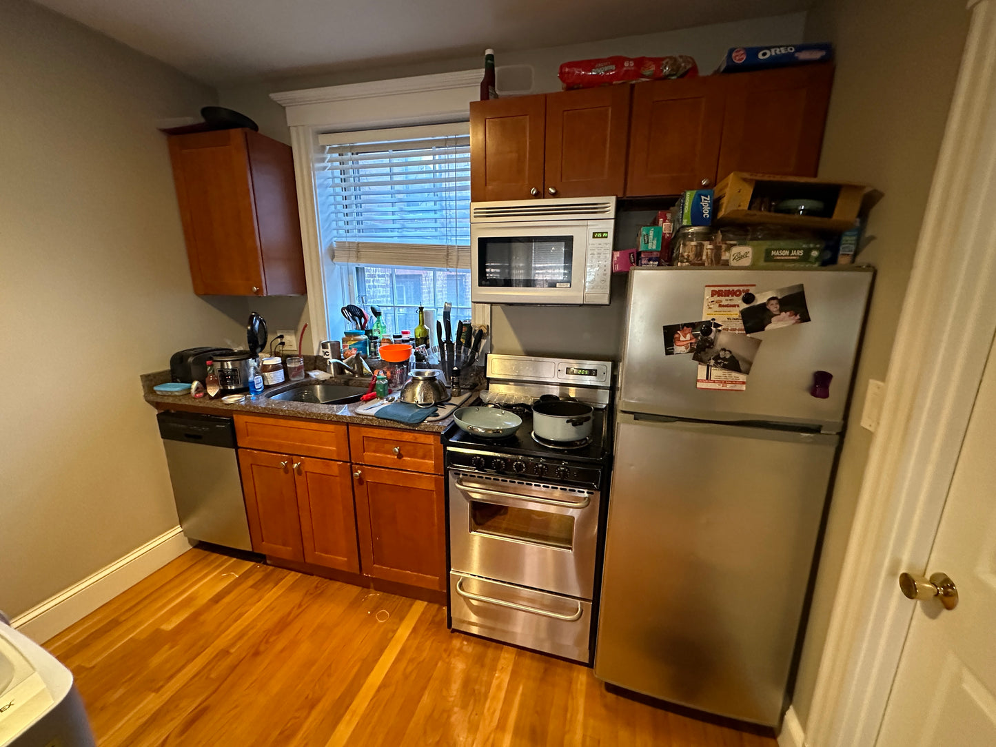 $2,600 ➽Comfy Beacon Hill Studio Available 9/1! (Beacon Hill)